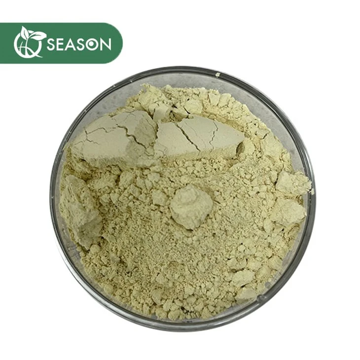 Apigenin 98